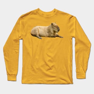 Lazy Sunday afternoon Capybara Long Sleeve T-Shirt